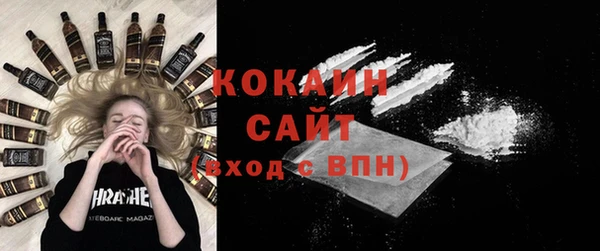 прущий лед Вяземский