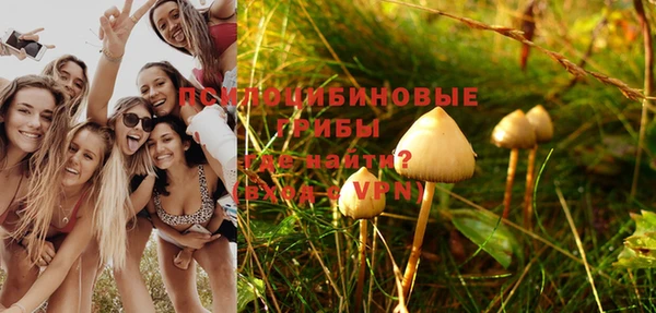 ALPHA PVP Горняк