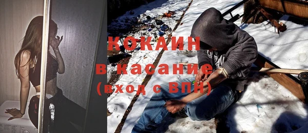 сатива Волосово