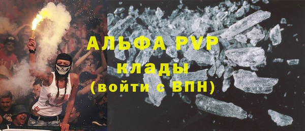 сатива Волосово