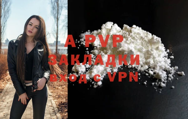 шишки Верхний Тагил