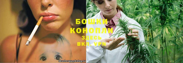 сатива Волосово